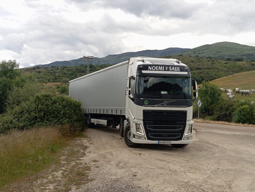 transportista nacional de graneles y mercancías generales